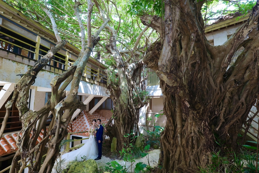 心温まる南国リゾート結婚式